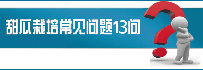 蔬菜種子栽培技術-<strong><font color='#006428'>甜瓜栽培常見問題13問？</font></strong>