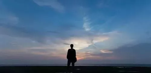 雇工難、成本高，想種甜瓜怎么辦？