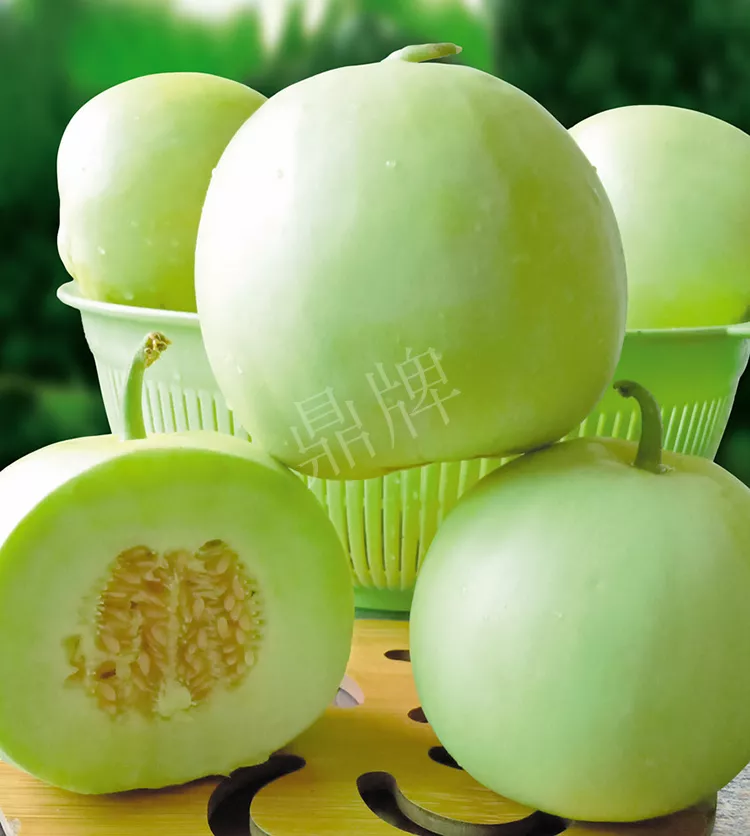 7元一斤還遭瘋搶，畝收益超2萬元！到底什么甜瓜能這么牛？