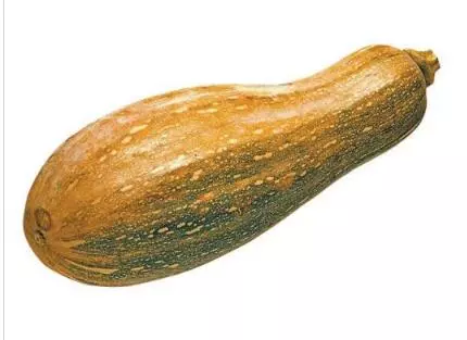 知道最甜最面的南瓜品種嗎？盤點十種有營養(yǎng)的甜面南瓜...