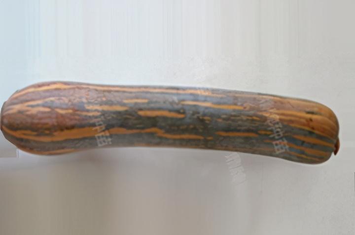 2020年，市面上的南瓜品種哪個口感最好、最甜、最值得種植？