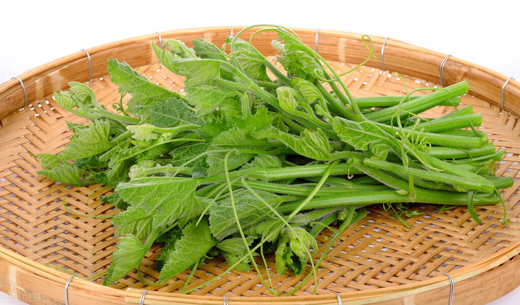 種這種綠葉菜，栽培輕松，畝產(chǎn)值過萬元，菜農(nóng)表示很劃算