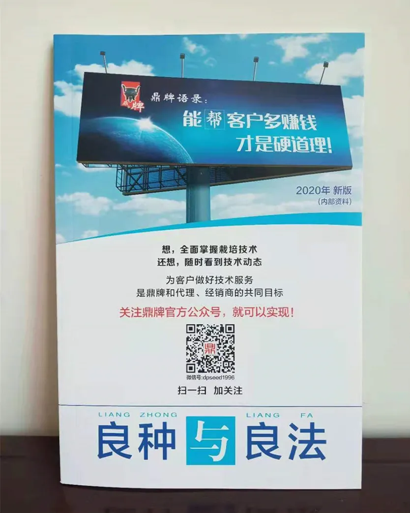 河南焦作的李向林今年種植甜瓜新品種，客戶直接拉貨走人