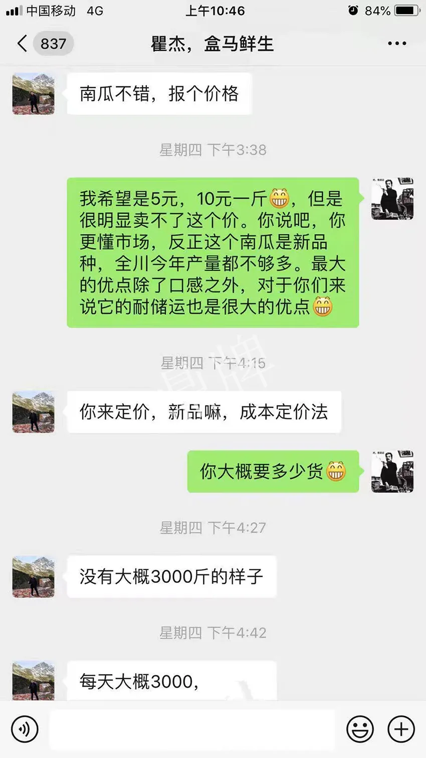 四川農(nóng)戶今年種“健美蜜本”南瓜產(chǎn)量高，品質(zhì)好，感覺巴適得很