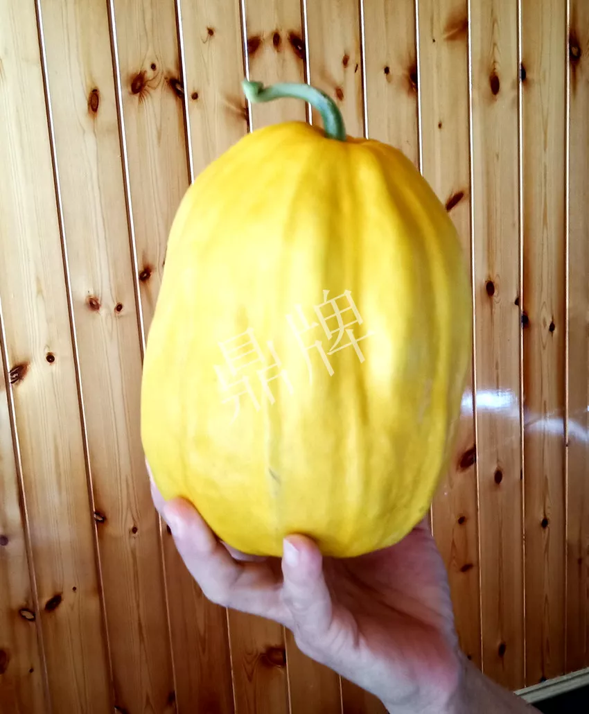 婁底瓜農純賺50萬，我這個“張大膽”榮光了一把