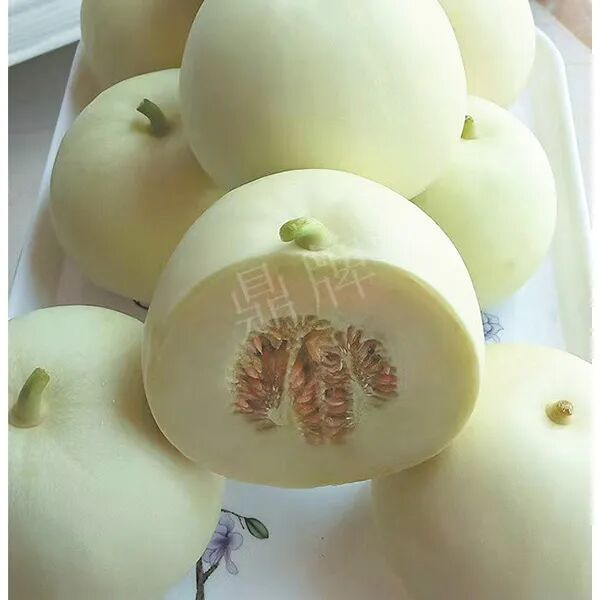 蔬菜種子種植戶種植心得-這個品種幫我留一些，4月份我們當?shù)剡€要種一批