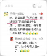 蔬菜種子種植戶客戶點評-“氣死白糖，甜過初戀”，您知道或體驗過這句話嗎